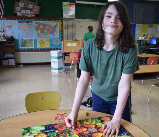 Puzzles in the Classroom
