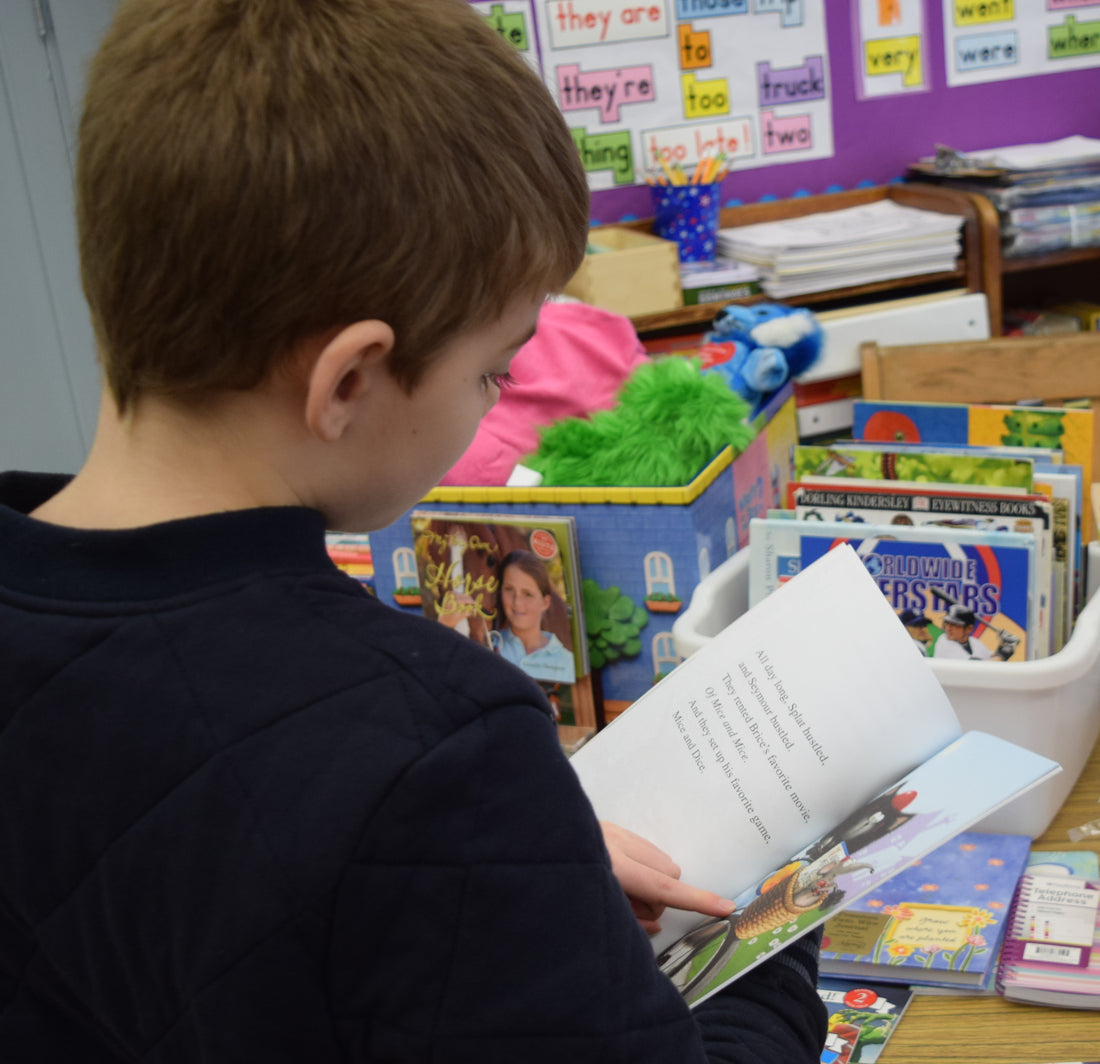 Shadow Store Book Incentives